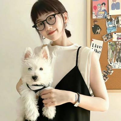 星际拾荒者